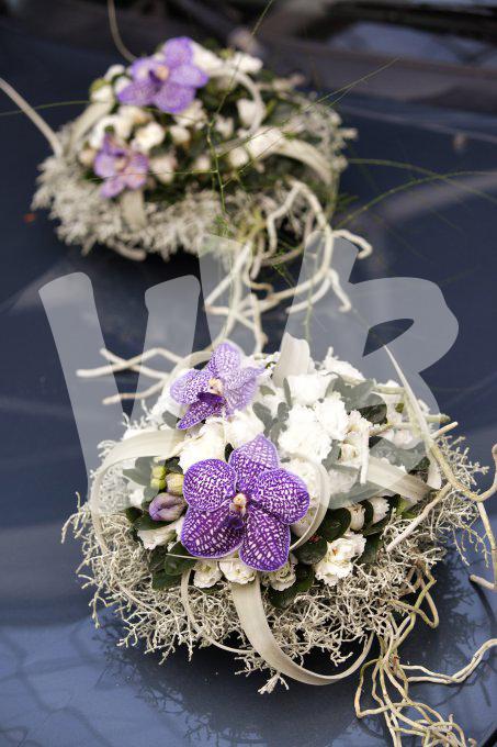 bloemen en planten vvbvanbree     1123